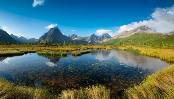 Aventures Impressionnantes